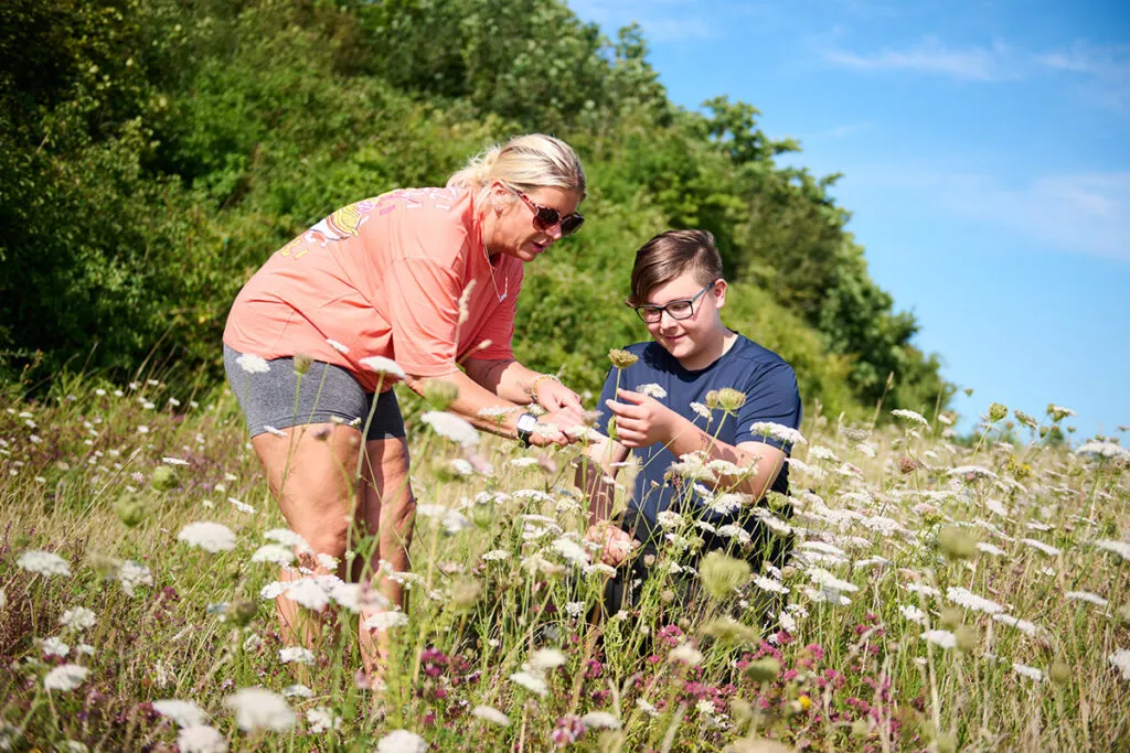 Plantlife Volunteer With Us Adult And Teen Ranscombe