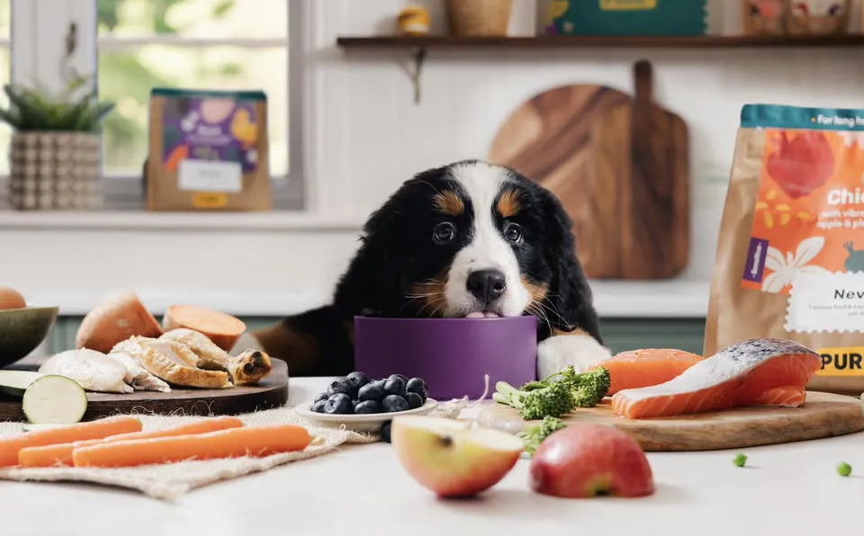 Pure Pet Food Hero