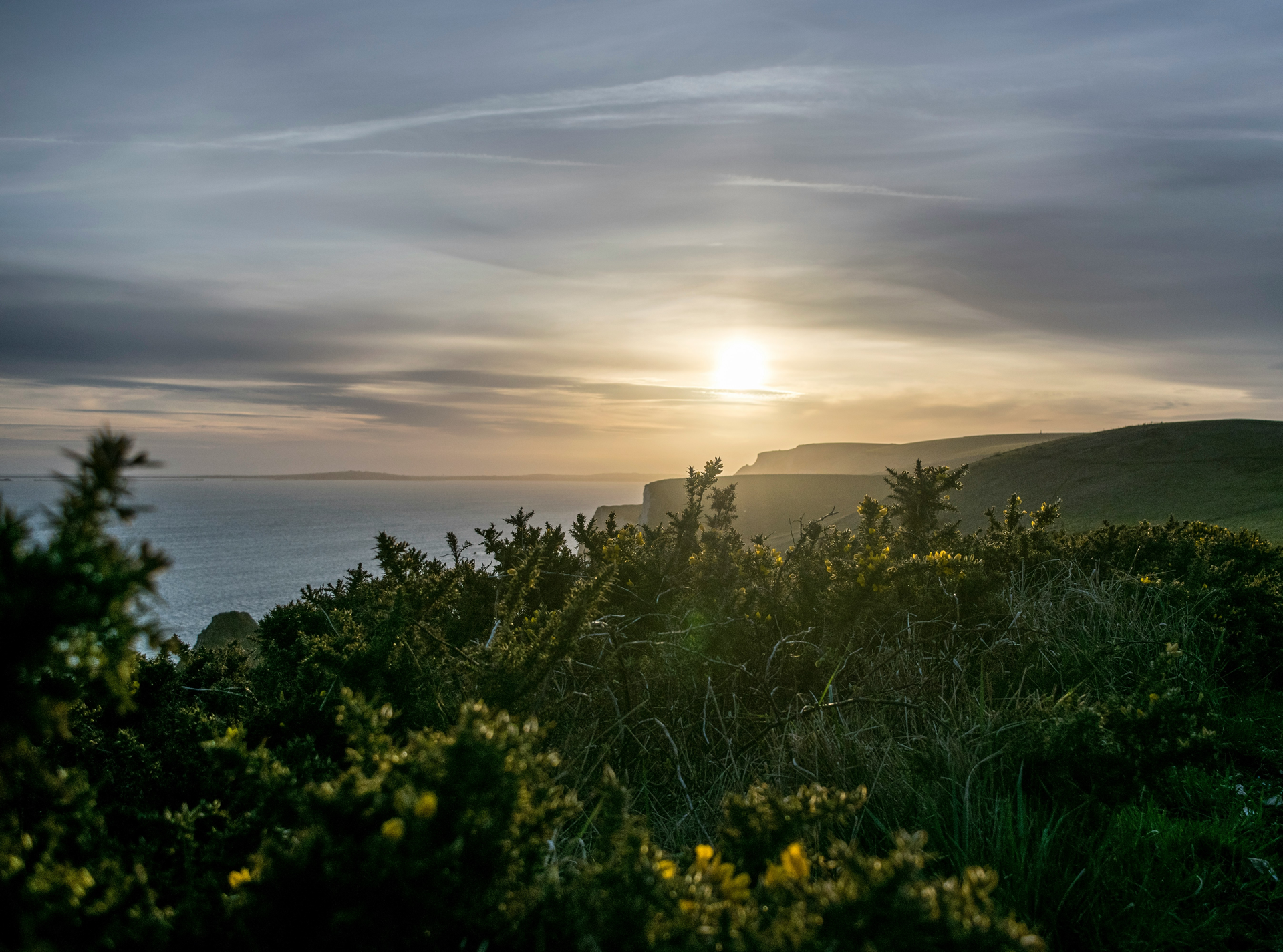 Coastal Climb Website