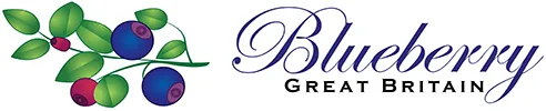 Blueberrylogonew