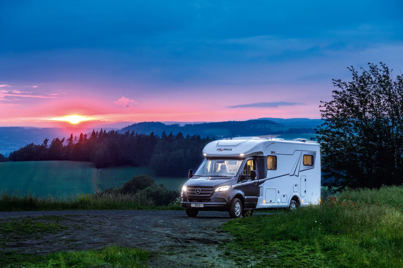 Frankia M Line Neo