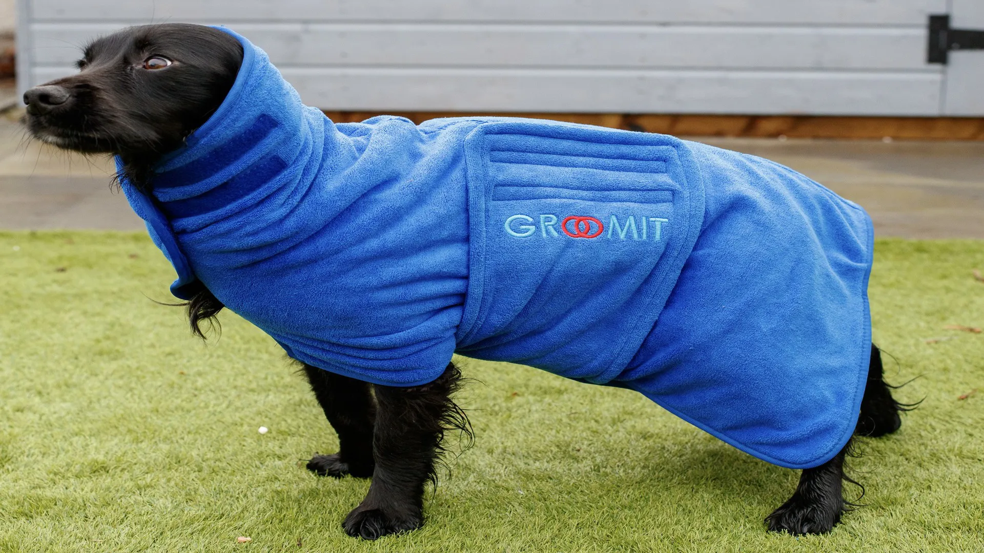 Groomit Arkay Sales
